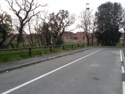 protezione-ciclabile-salviano-li_2