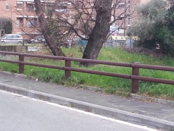 protezione-ciclabile-salviano-li_4